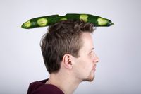 &lsquo;&rsquo;You will never feel lonely if you balance a cucumber on your head&rsquo;&rsquo;